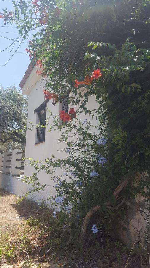 Hotel Gateway To The Alpujarras, 'Cortijo Derry' Orgiva Zewnętrze zdjęcie