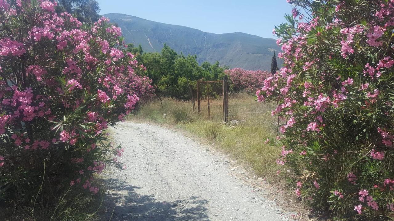 Hotel Gateway To The Alpujarras, 'Cortijo Derry' Orgiva Zewnętrze zdjęcie